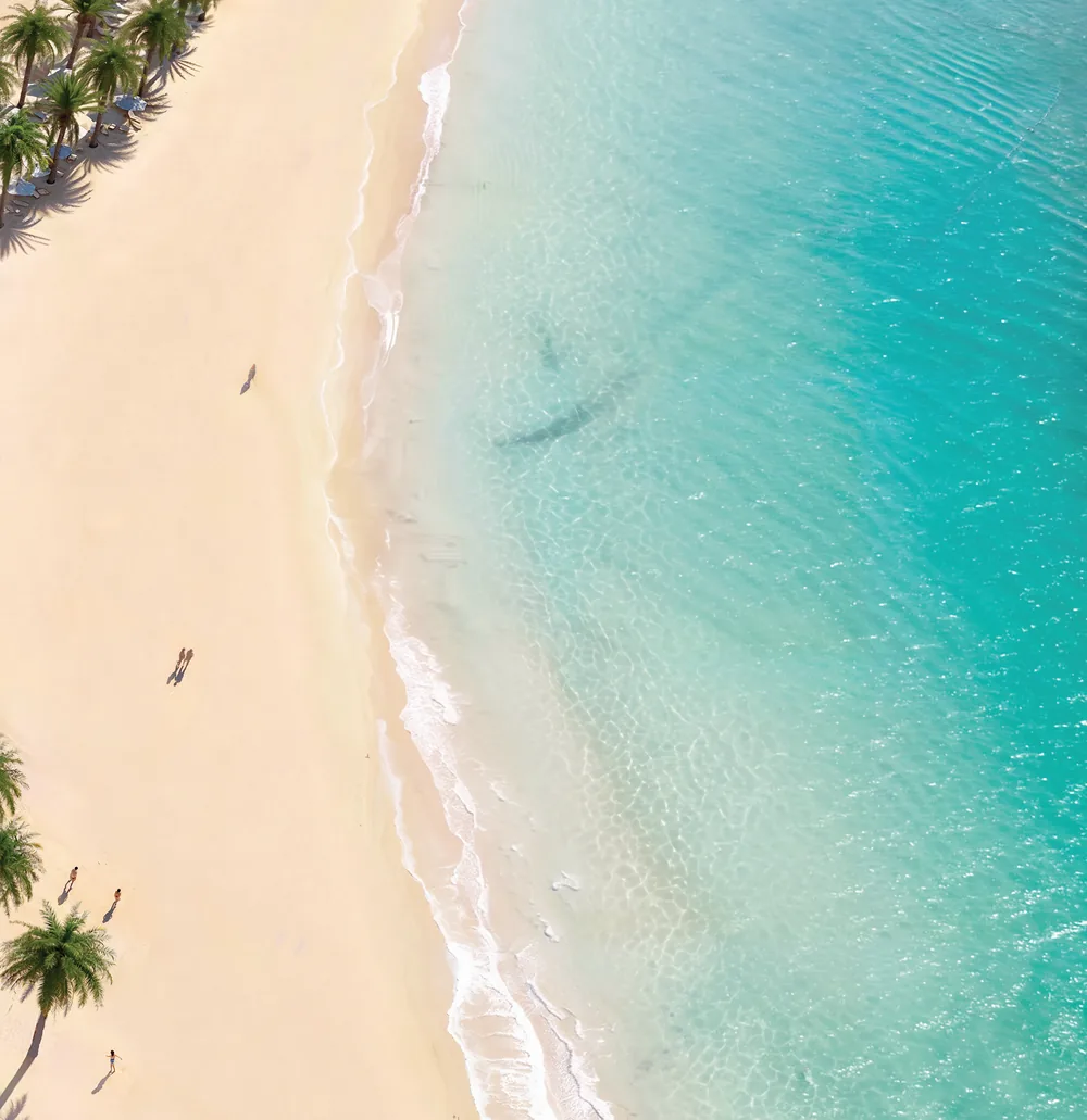 Turquoise water breaking onto a pale beach lined with palms